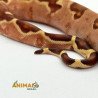 img_690ead26dd5fe.jpg